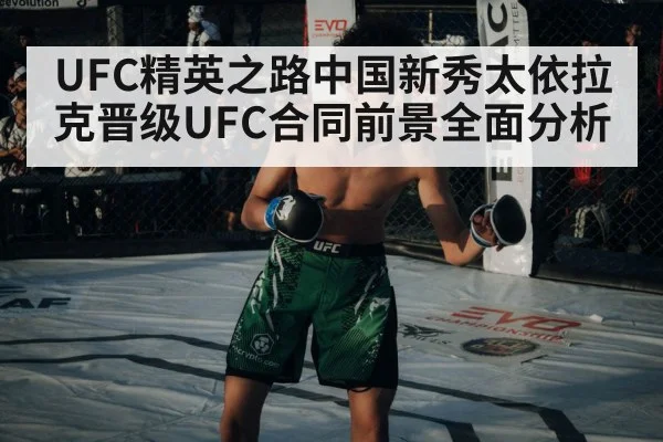 MMA fighter in octagon
