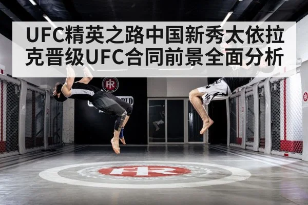 mixed martial arts training gym